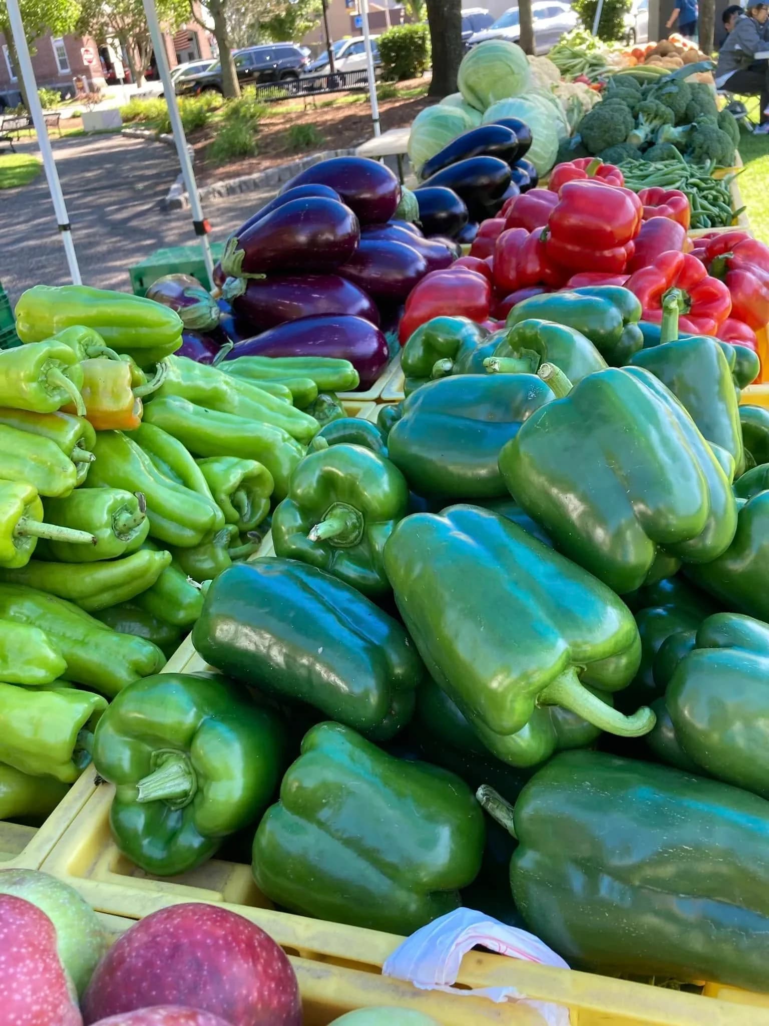 Stoneham Farmers Market photo 2