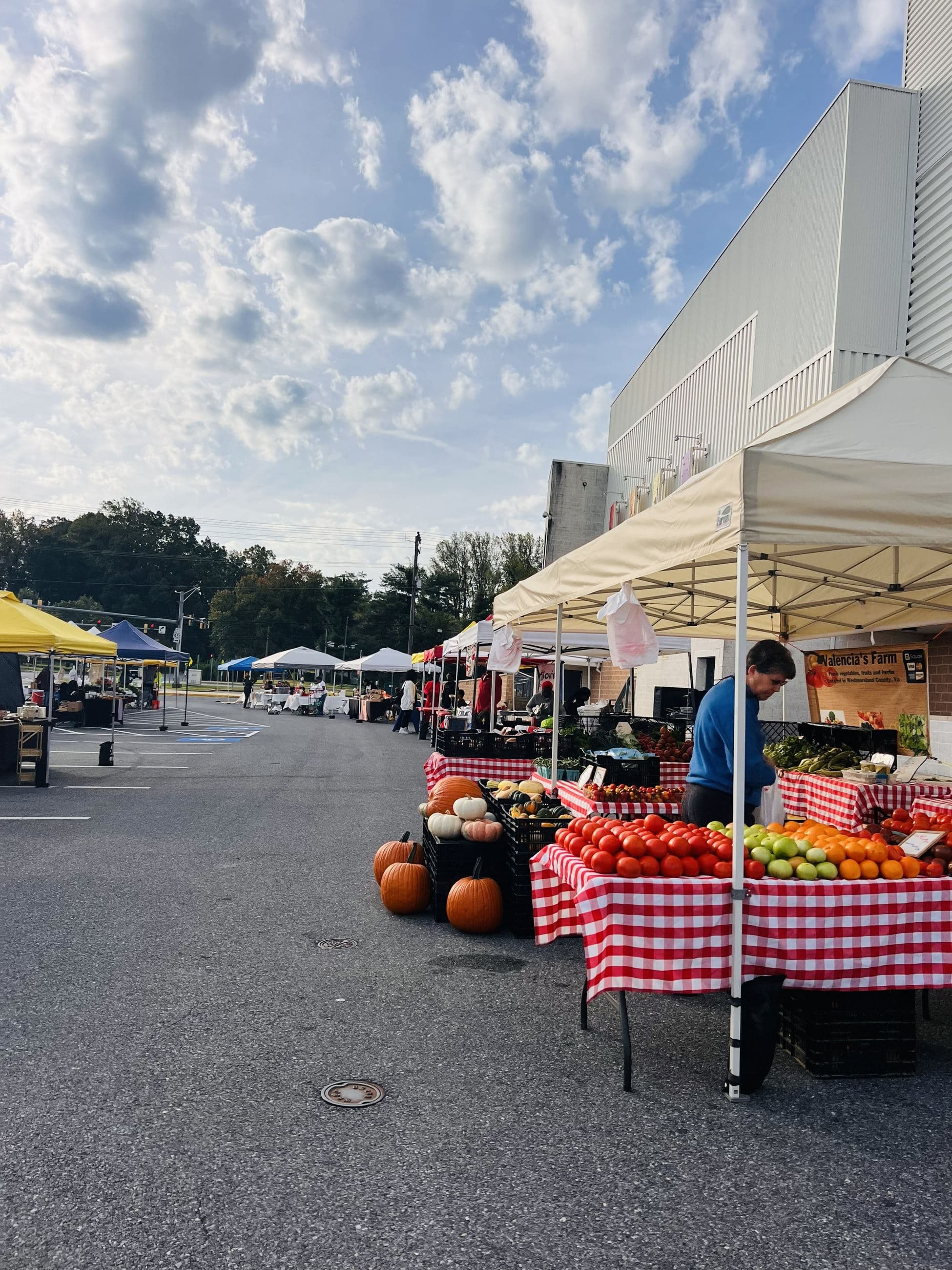 Farmer's Market