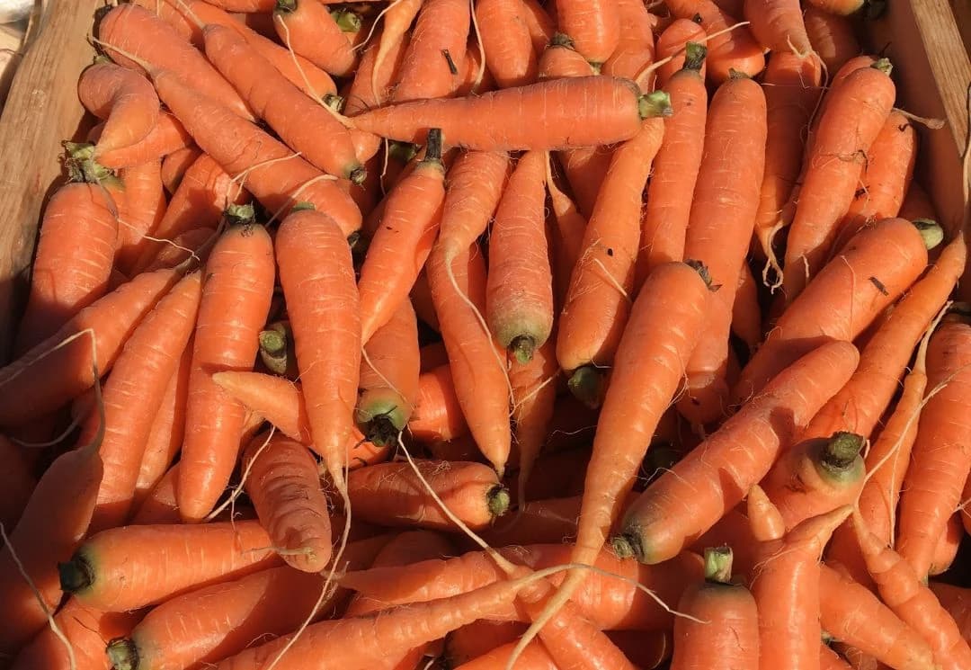 Tamworth Farmers' Market photo 3