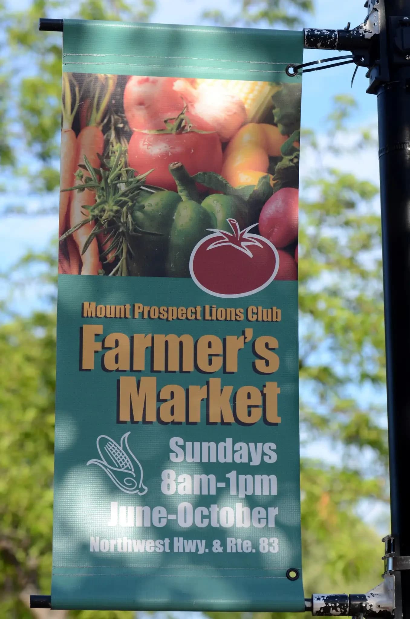 Mount Prospect Lions Club Farmers Market photo 2