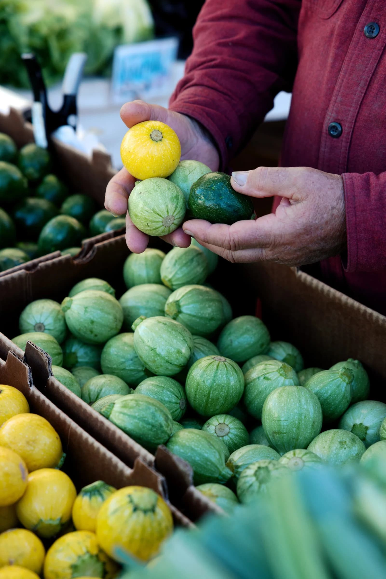 Sunday Marin Farmers' Market photo 4