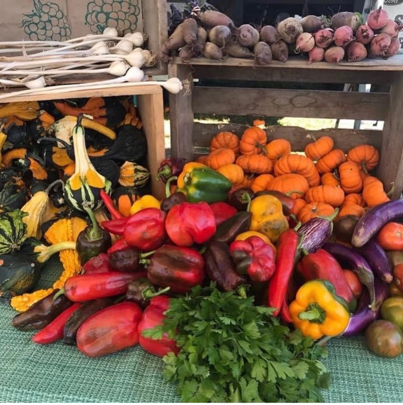 Orleans Farmers' Market photo 4