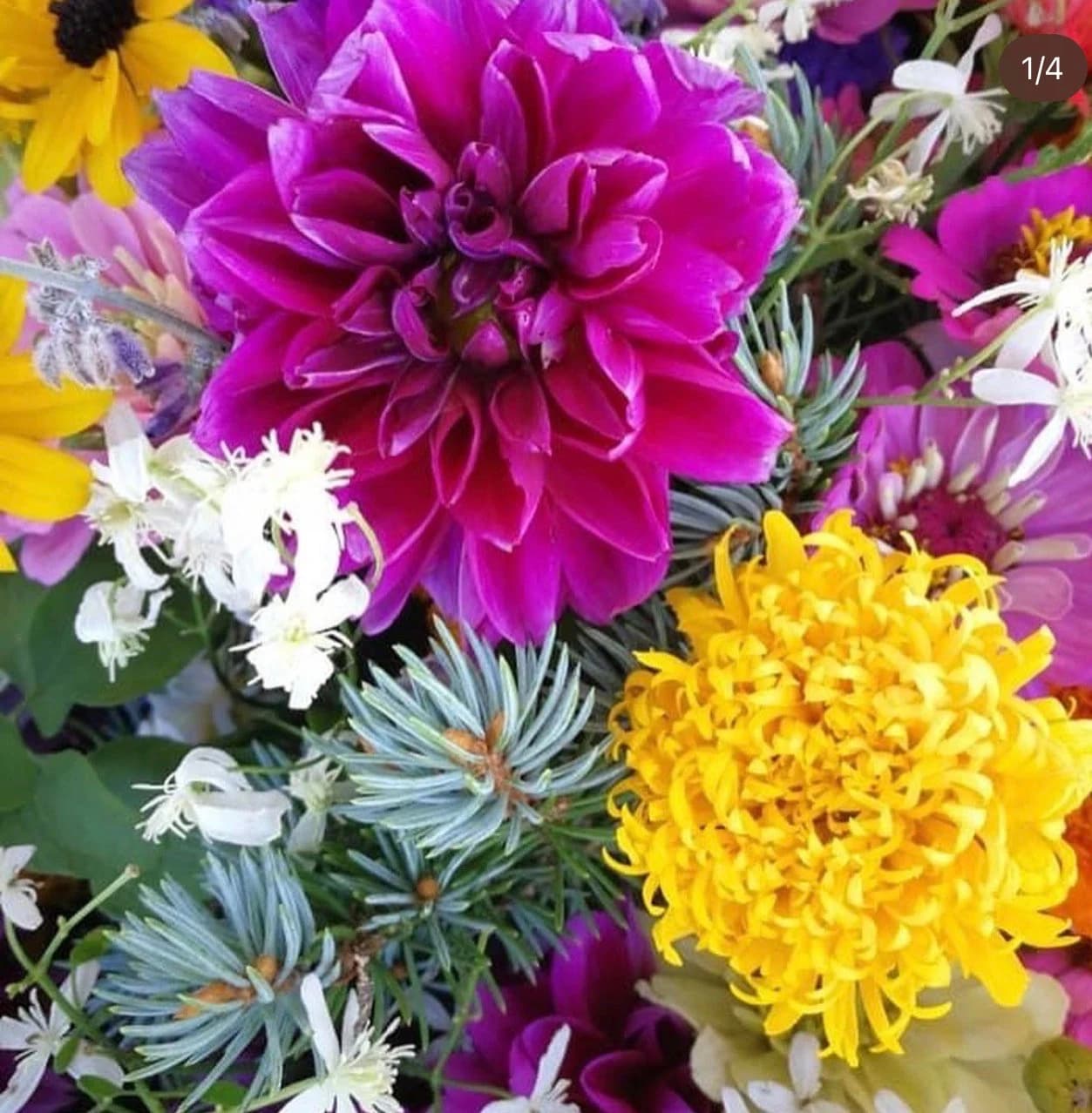 Orleans Farmers' Market photo 3