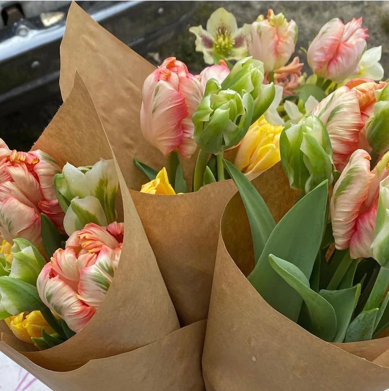 Orleans Farmers' Market photo 2
