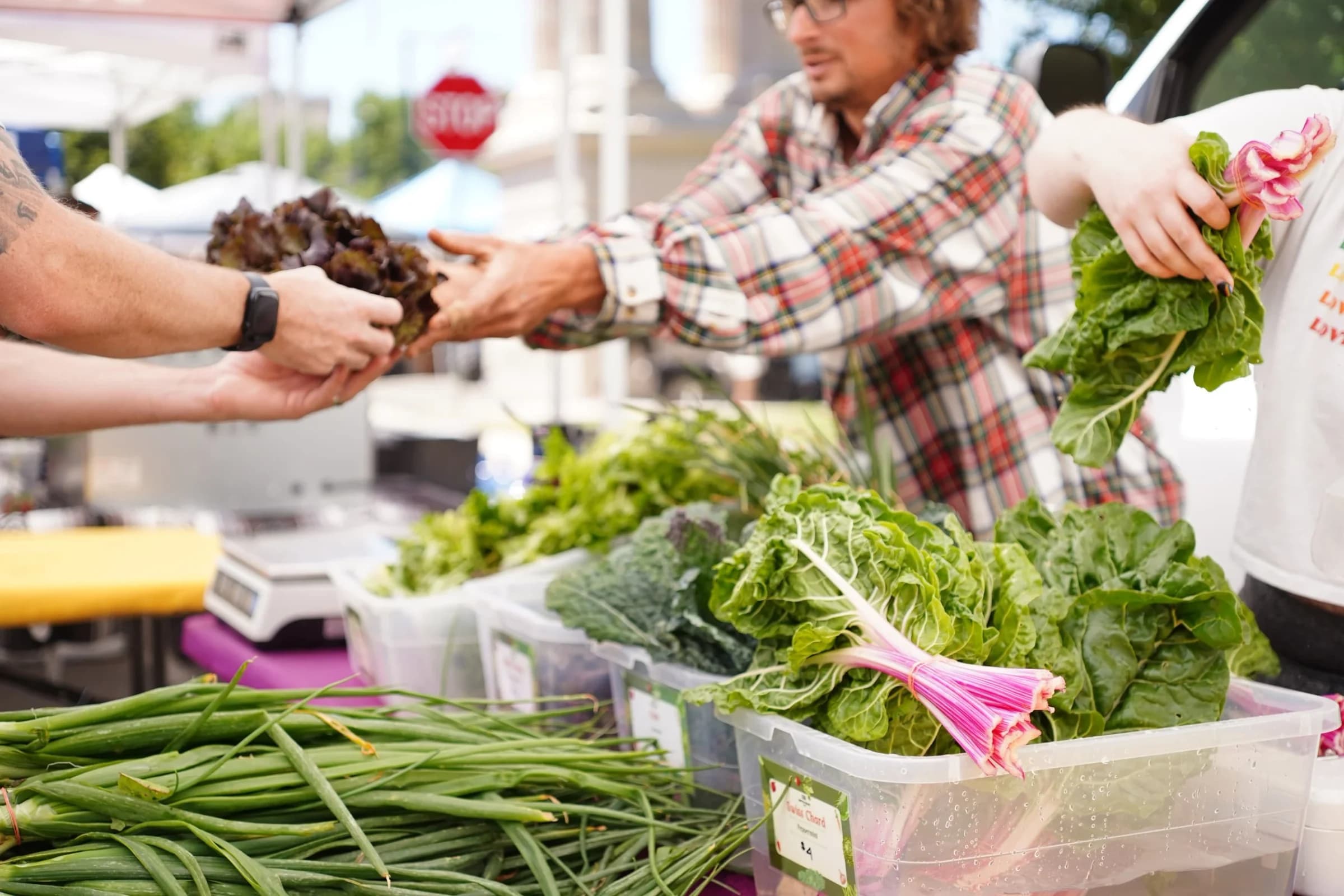 City Park Farmers Market photo 4