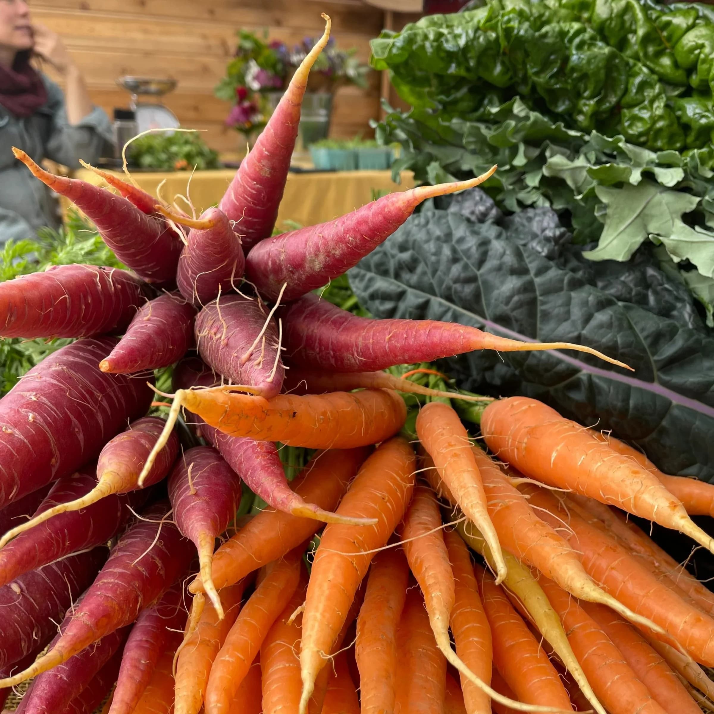 Matanuska Community Farmers Market photo 5