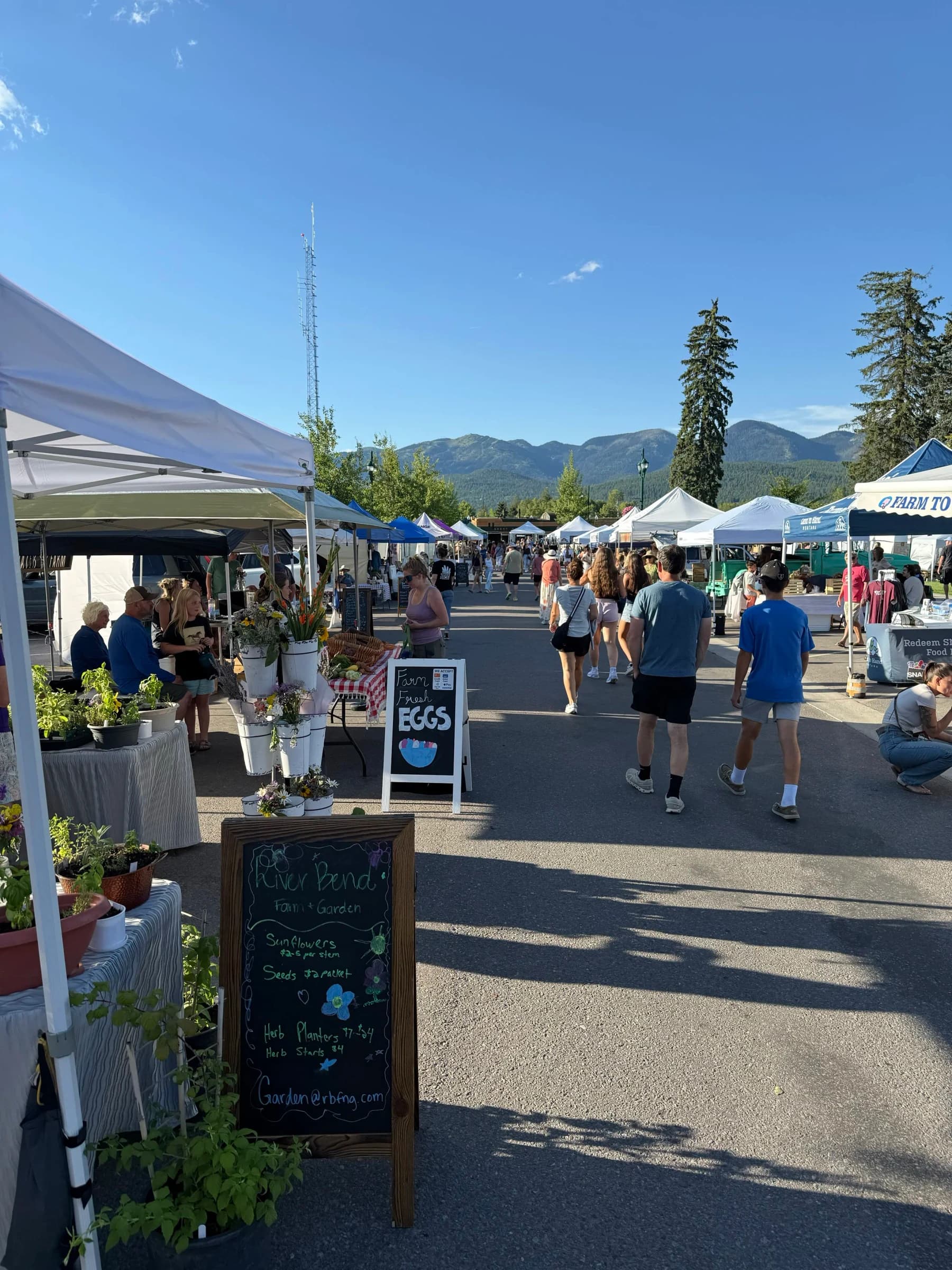 Whitefish Farmers' Market photo 2