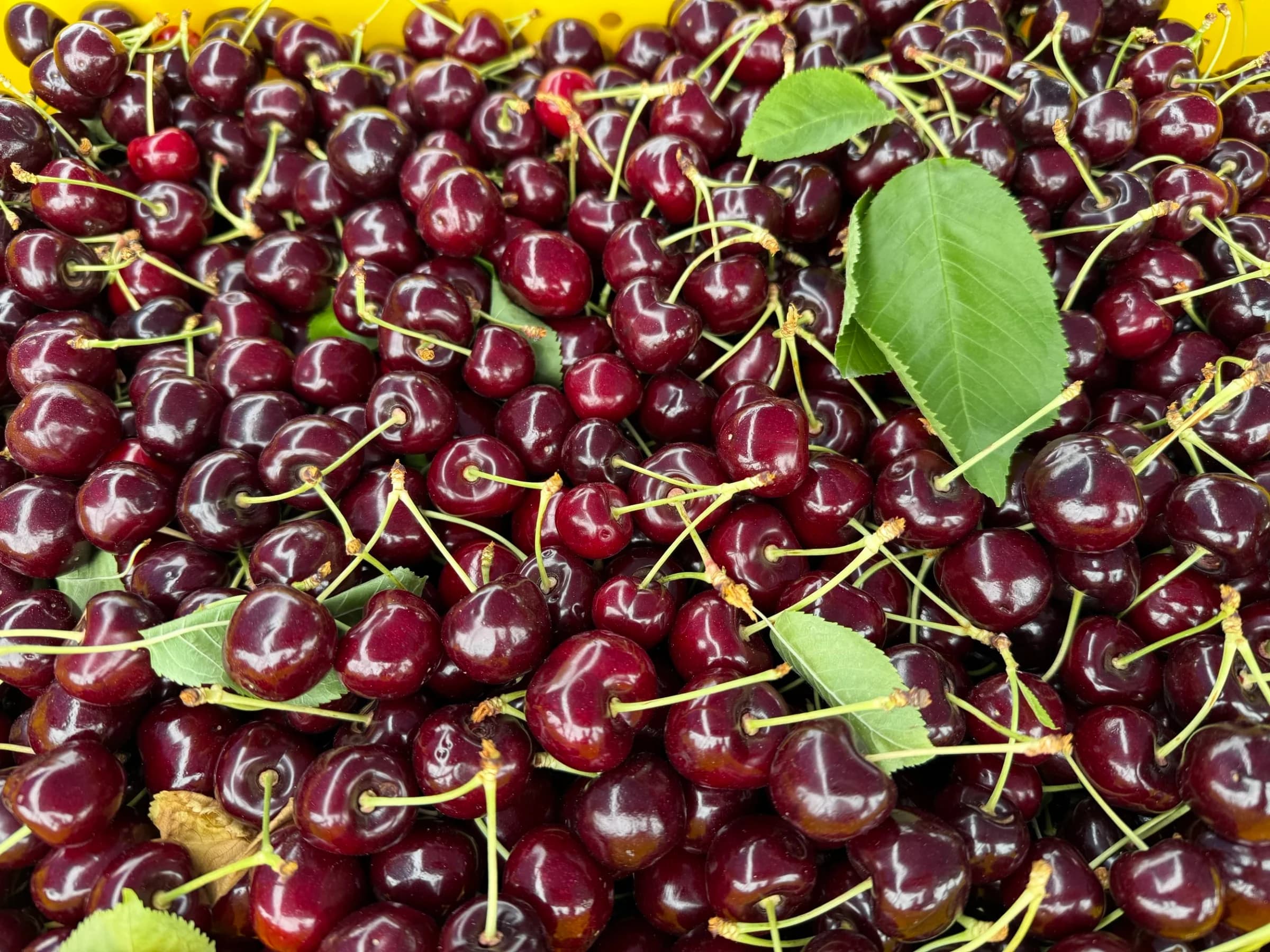 Whitefish Farmers' Market photo 4