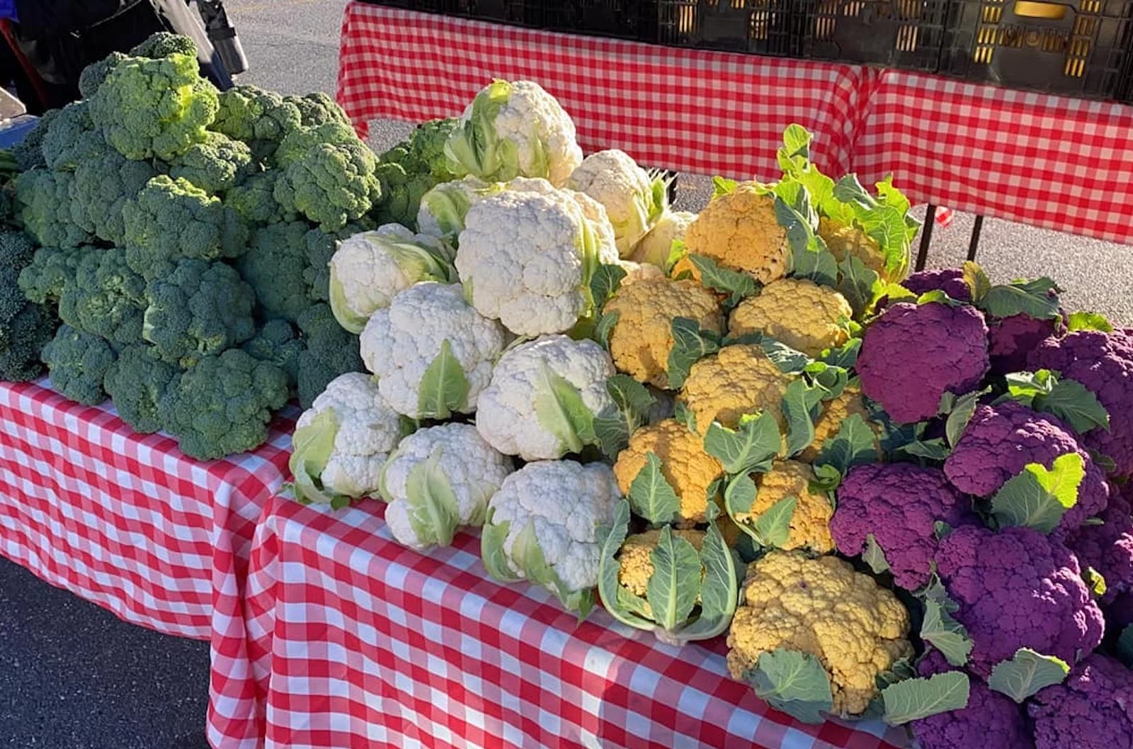 Lubber Run Farmers Market photo 3