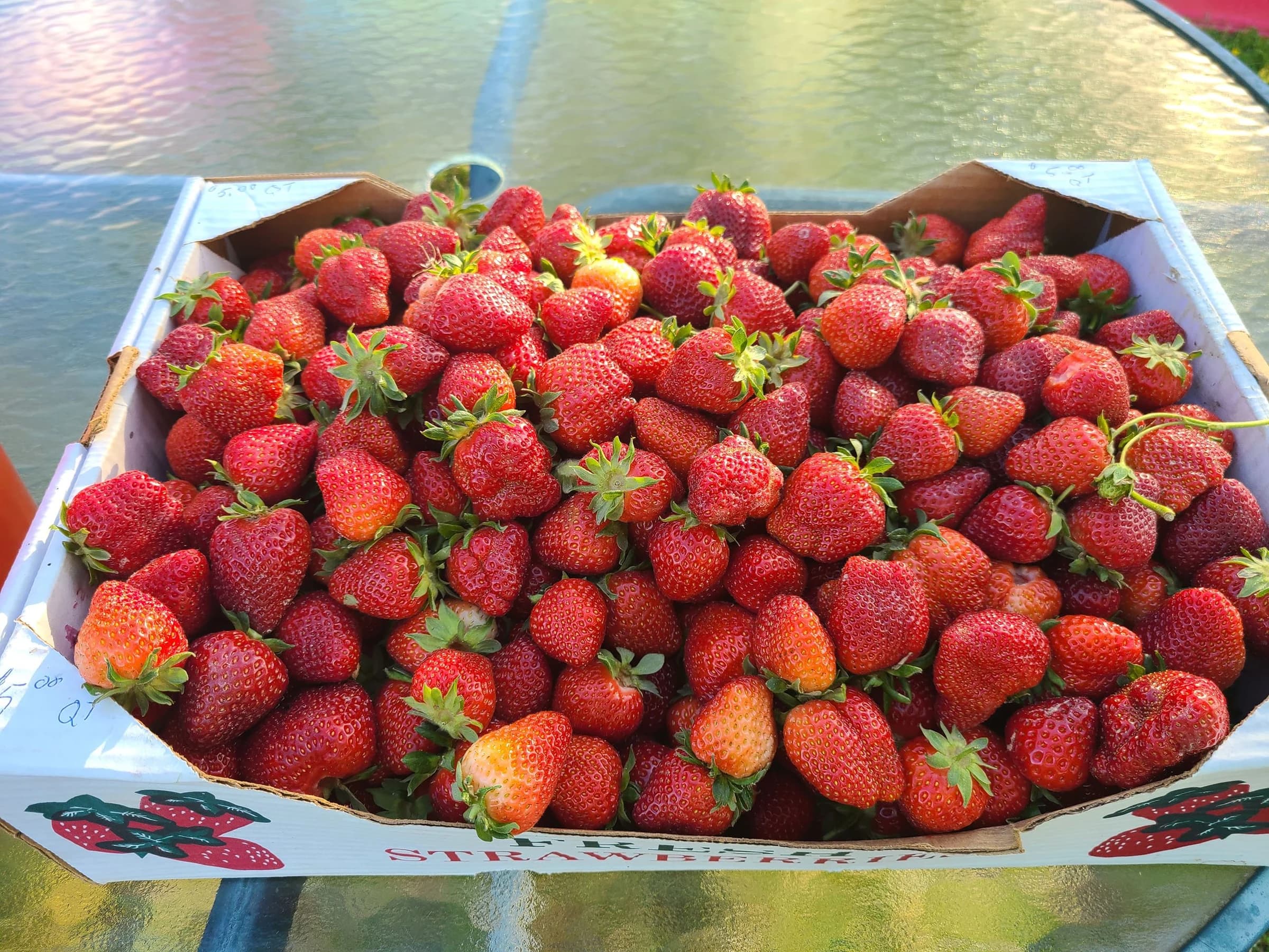 New Kent Farmers Market
