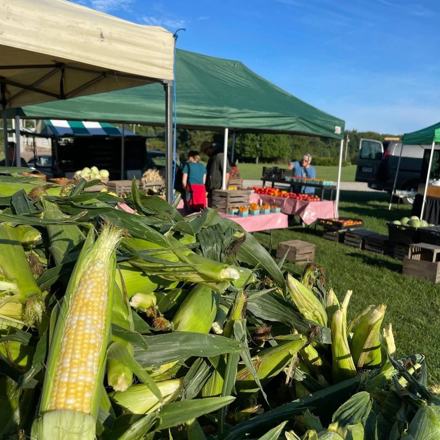 Granville Farmers Market photo 5