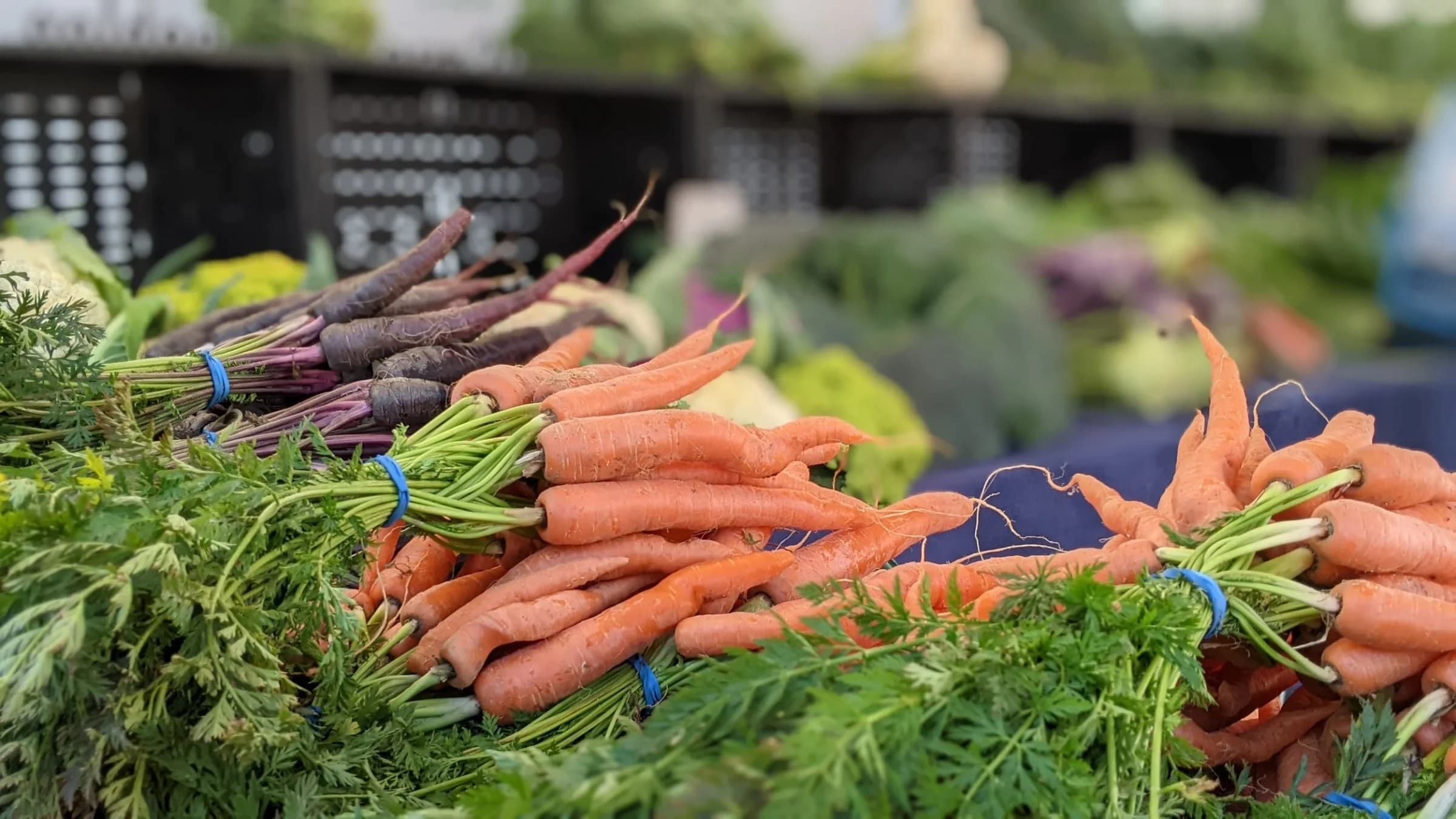 Little Italy Mercato Farmers' Market photo 5