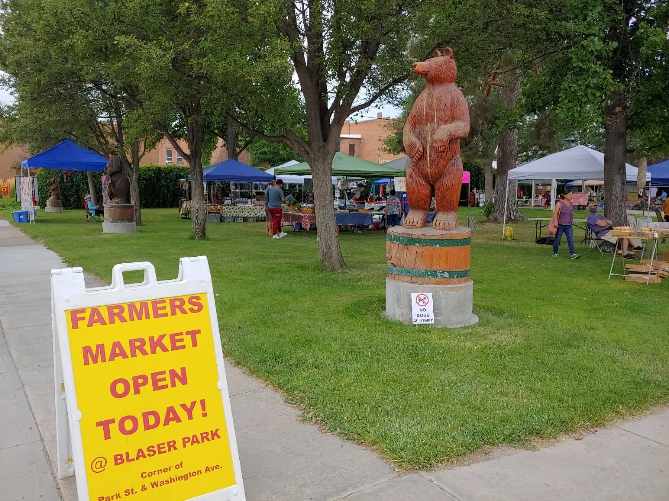 Emmett Farmers Market photo 3