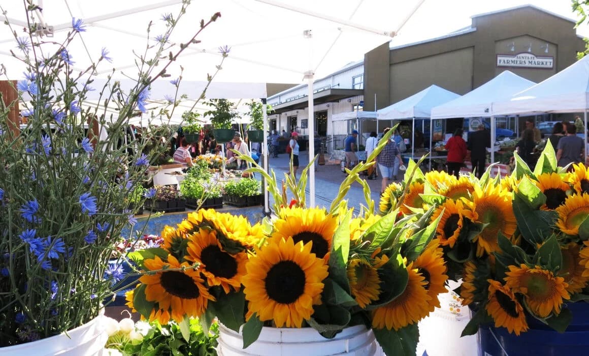 Santa Fe Farmers Market photo 2