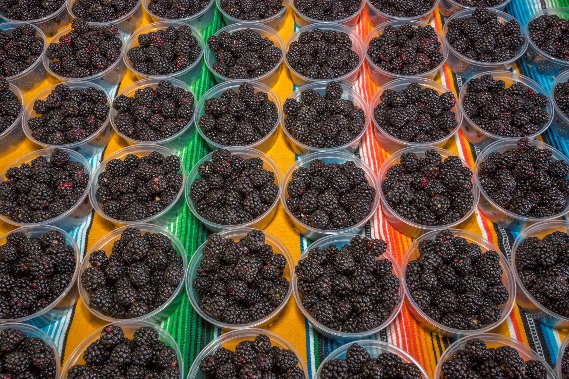 Santa Fe Farmers Market photo 4