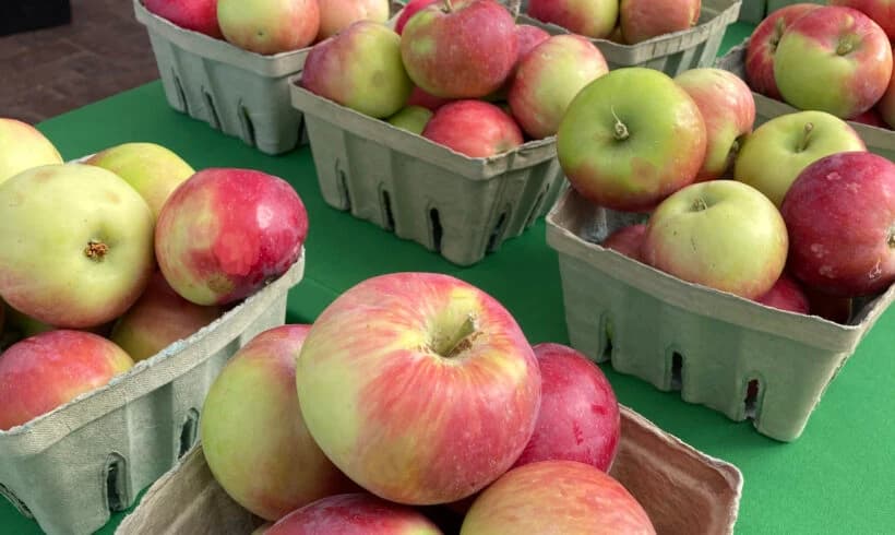 Santa Fe Farmers Market photo 3