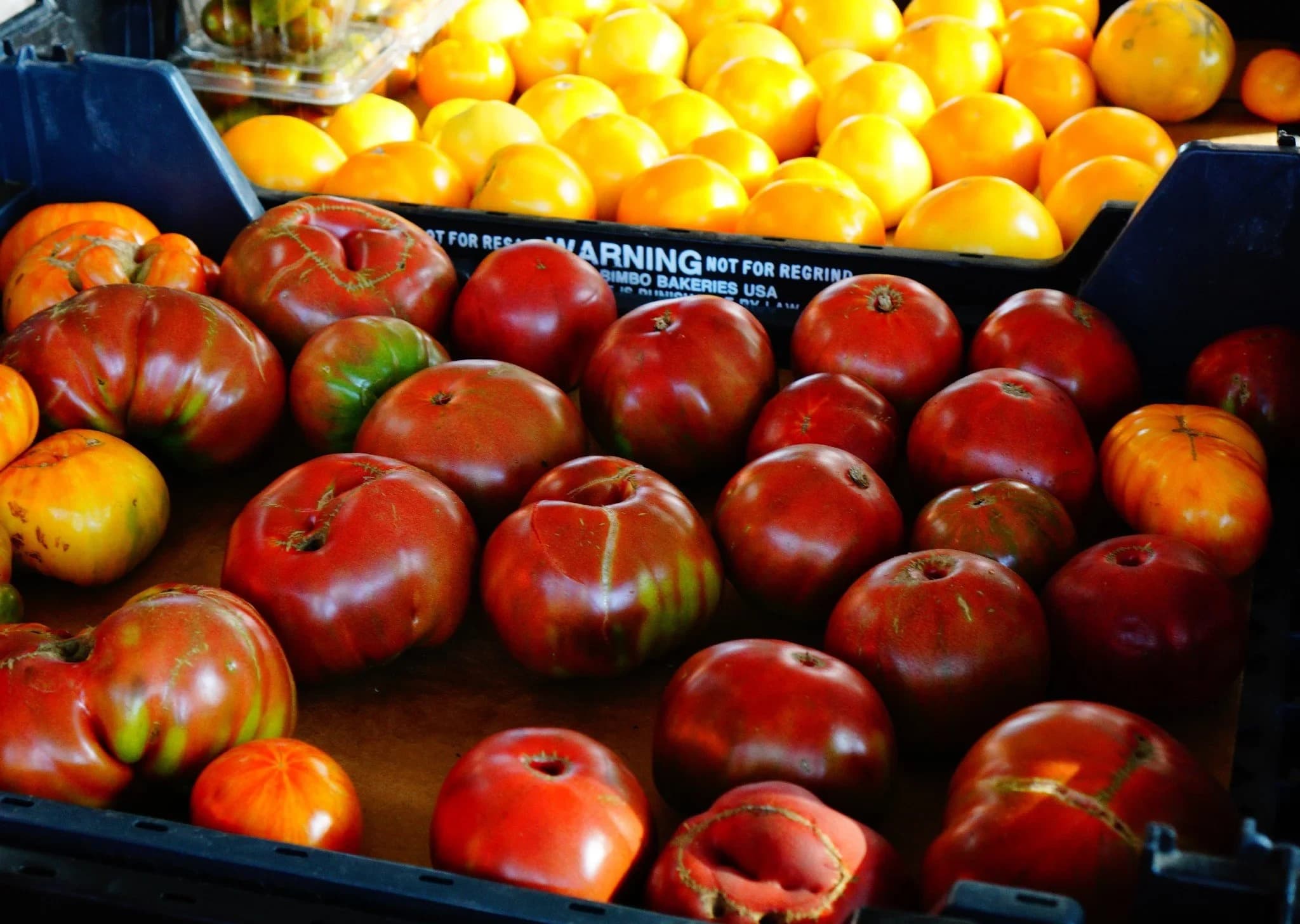 Beaumont Farmers Market photo 2
