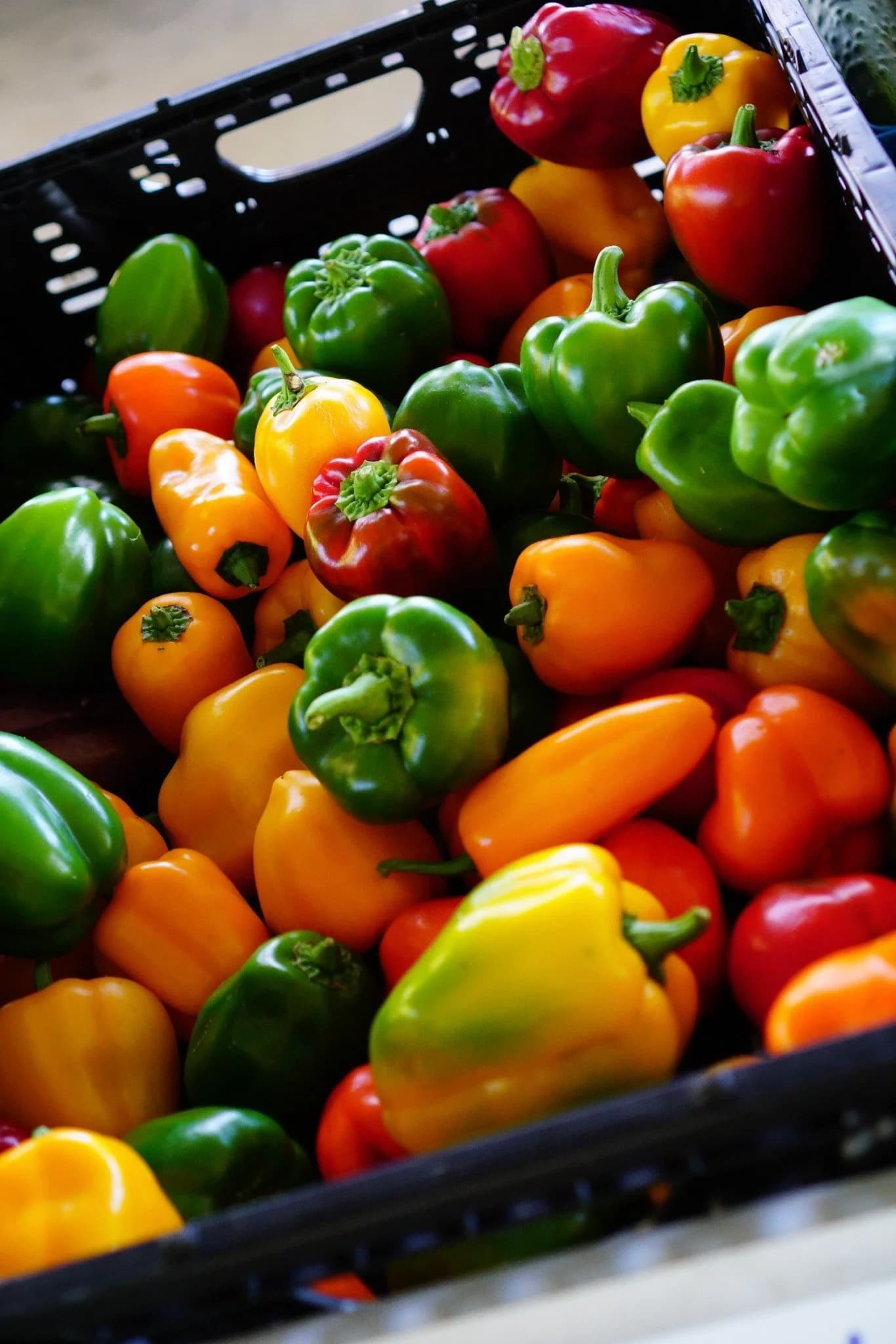 Beaumont Farmers Market photo 5