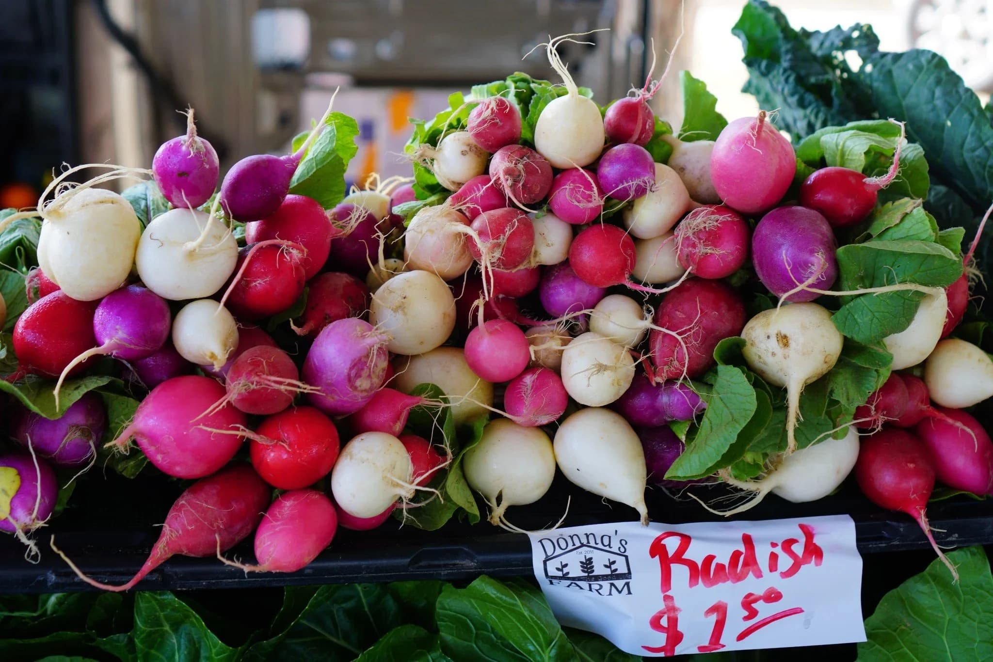Beaumont Farmers Market photo 4