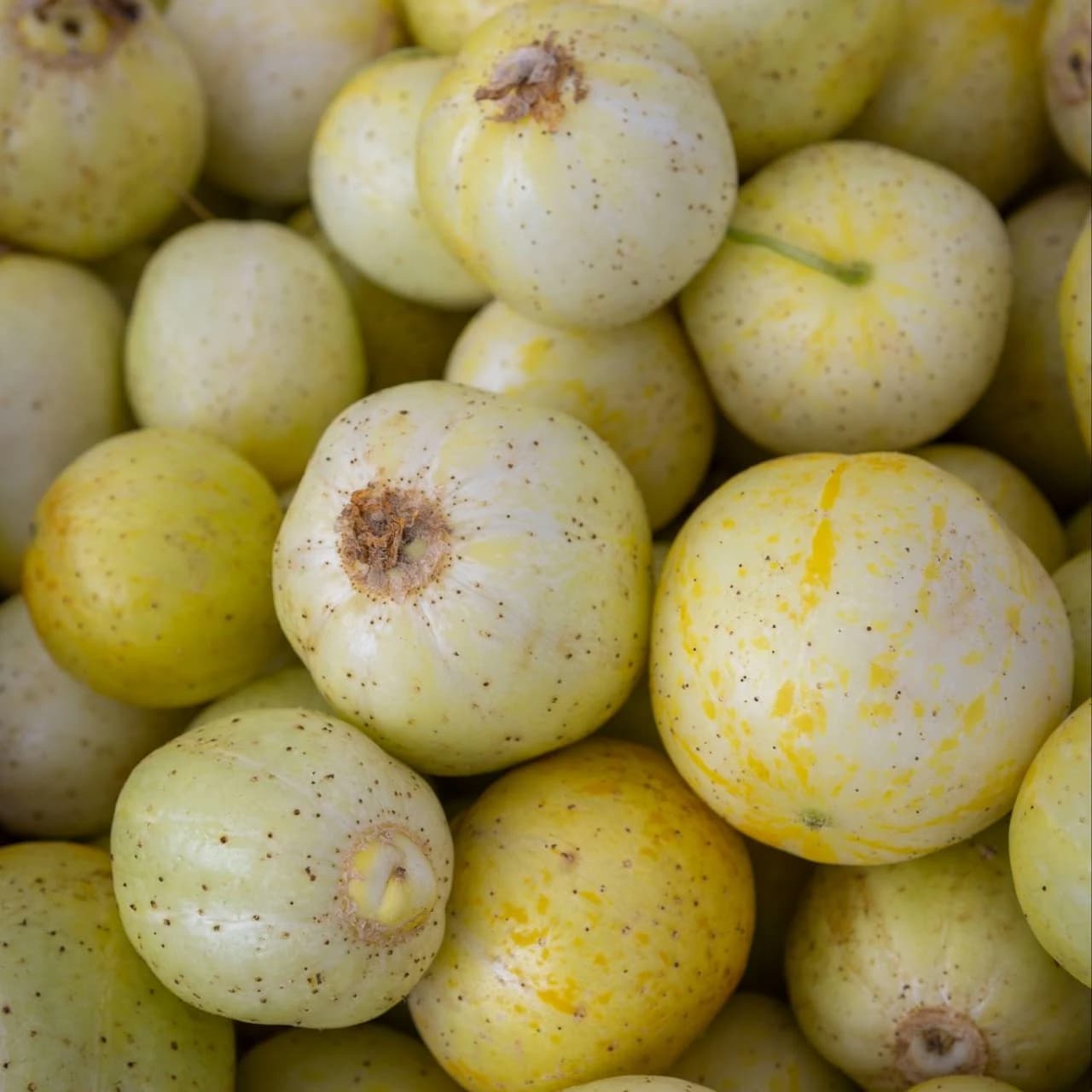 Baywood Farmers Market photo 5