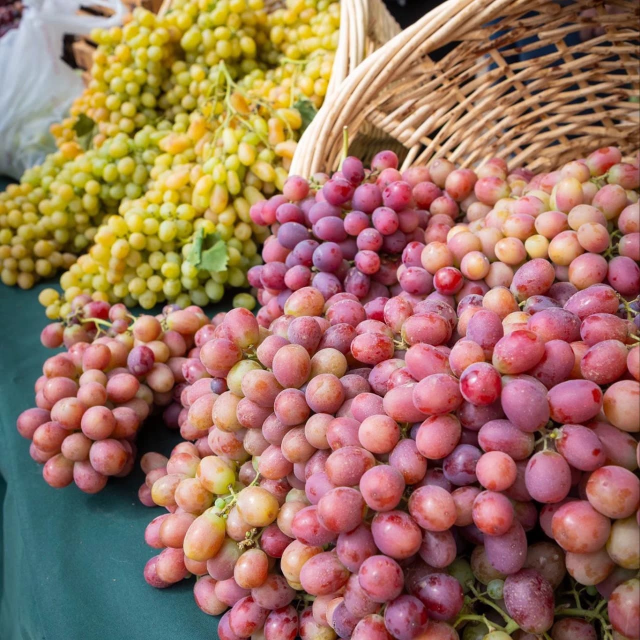 Baywood Farmers Market photo 2