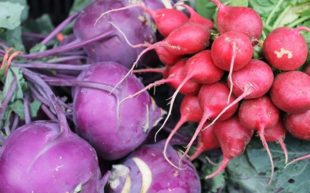 Saturday Rockville Farmers Market photo 3