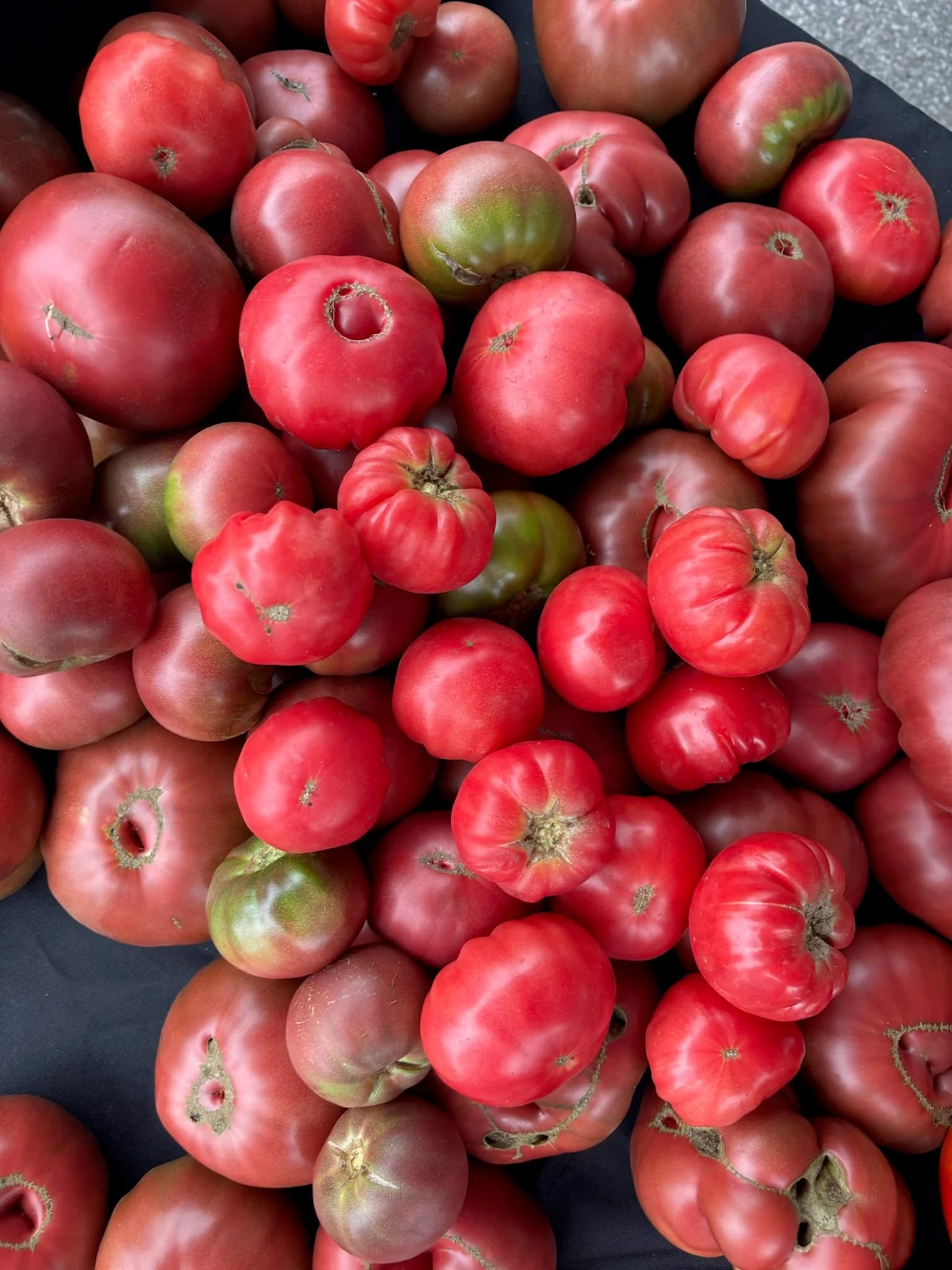 The Tower Grove Farmers' Market photo 4