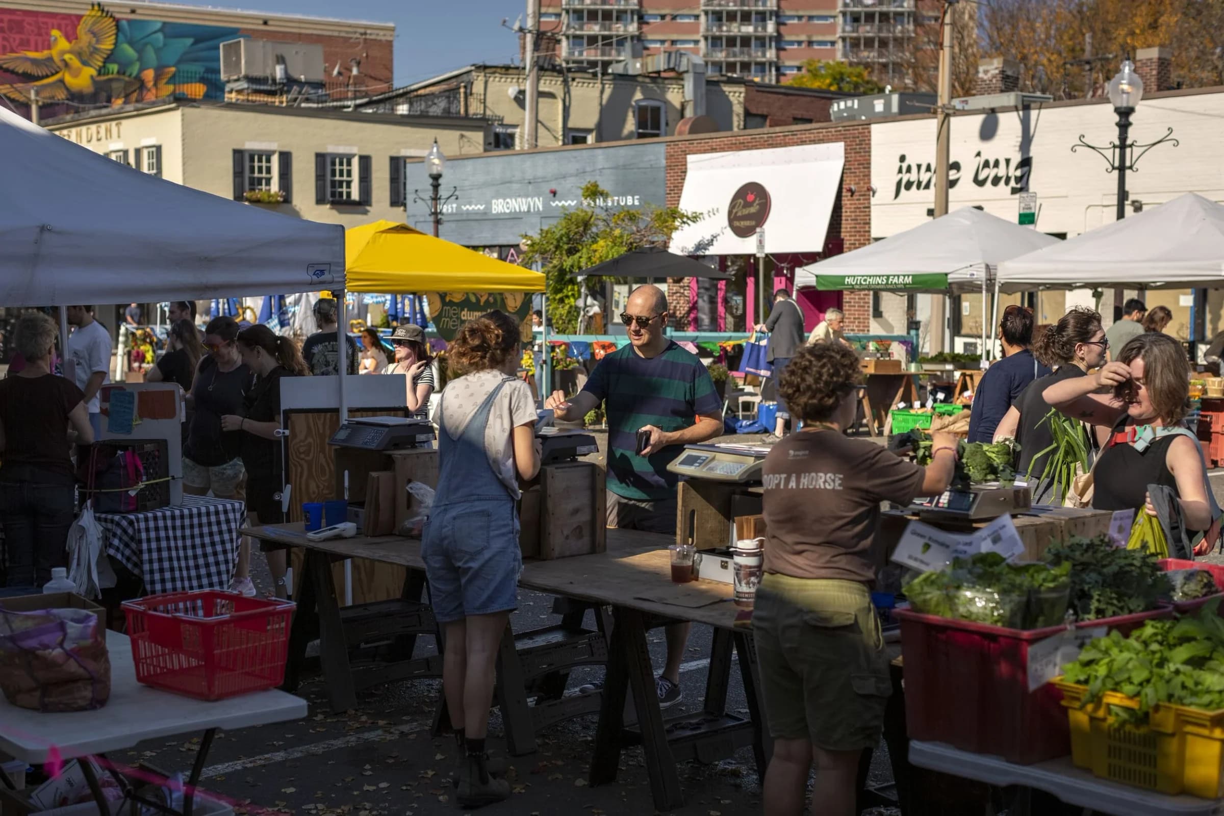 Union Square Farmers Market photo 3