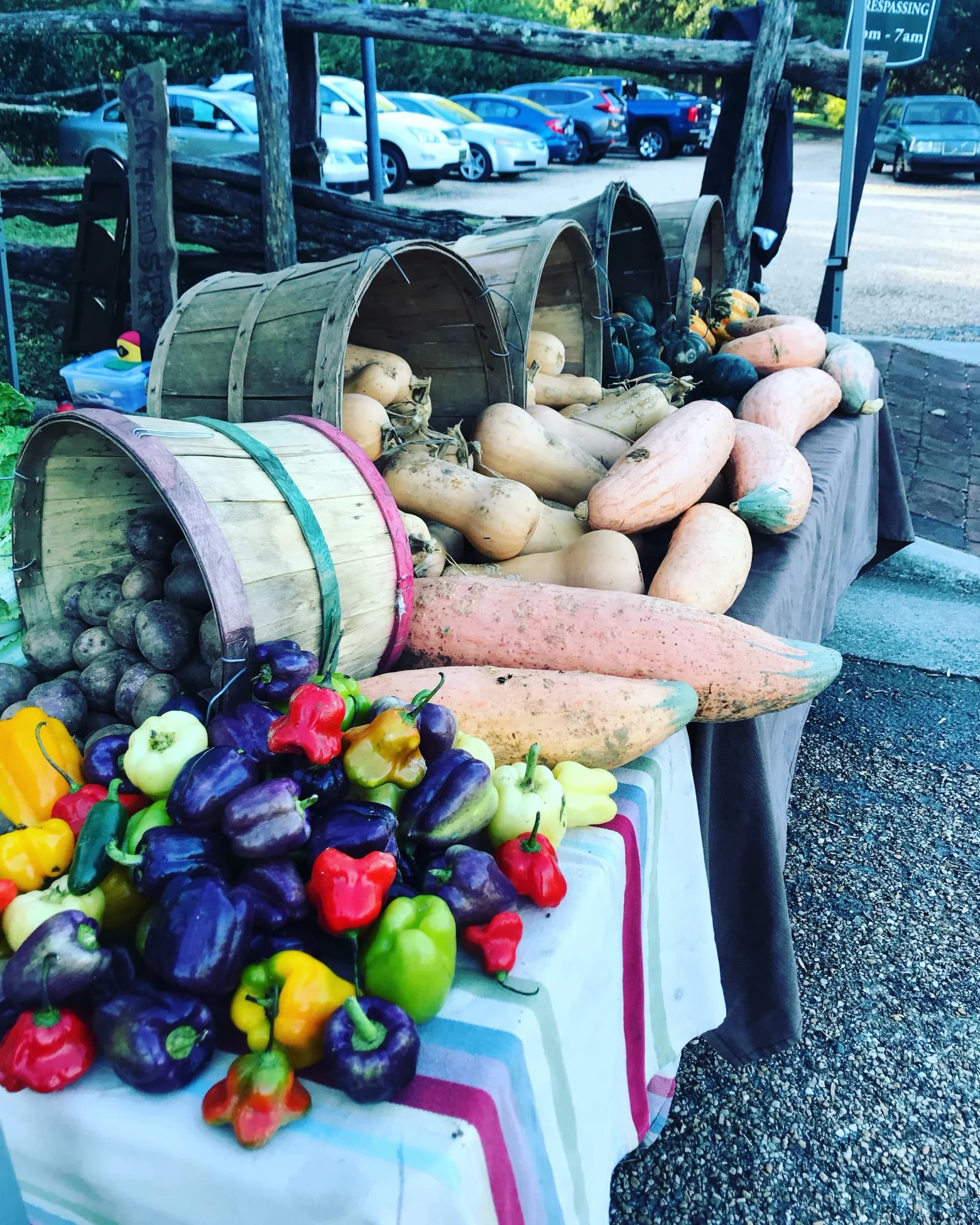 Cobblestone Farmers Market photo 2