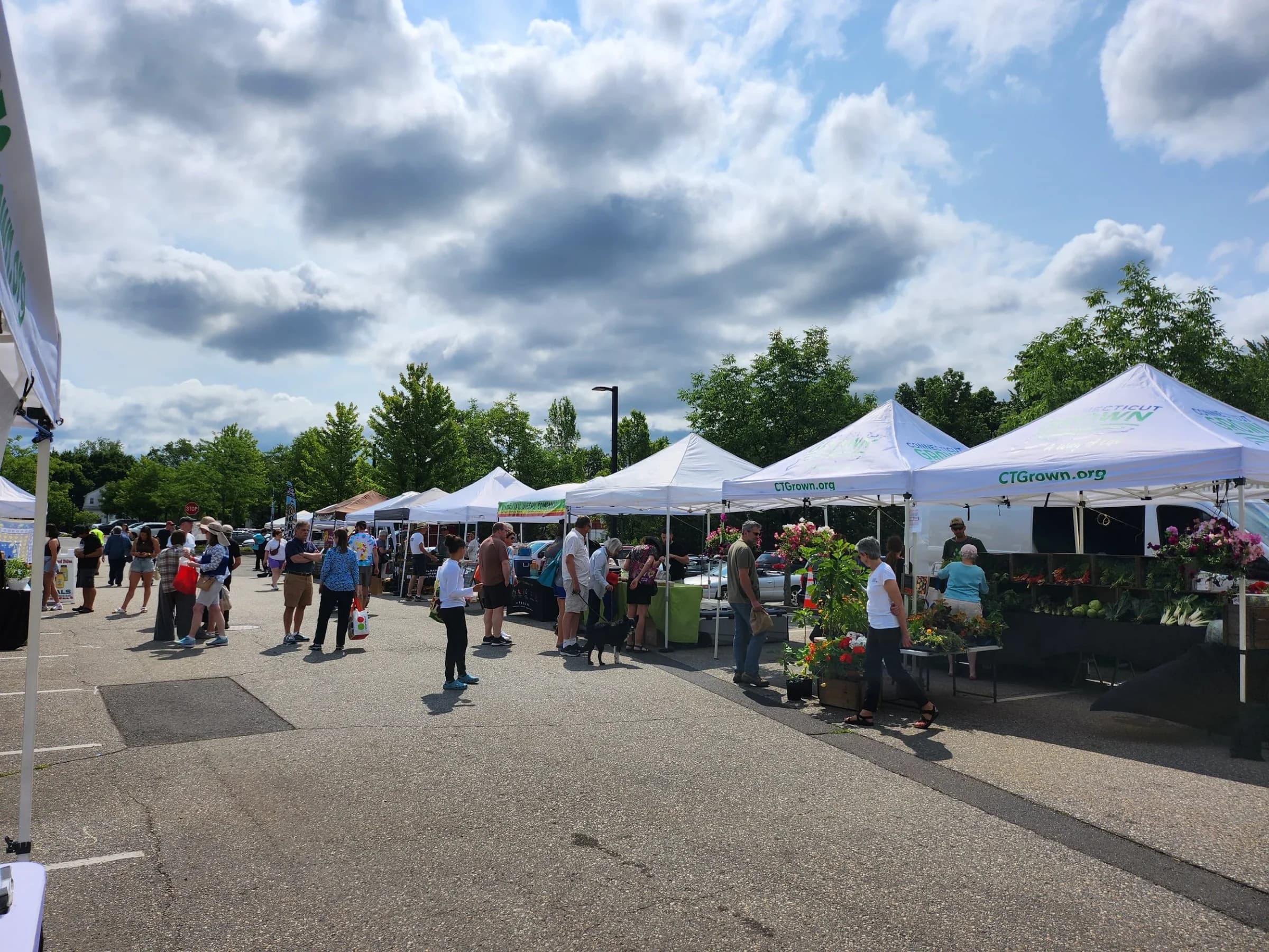 Blue Back Farmers' Market photo 4