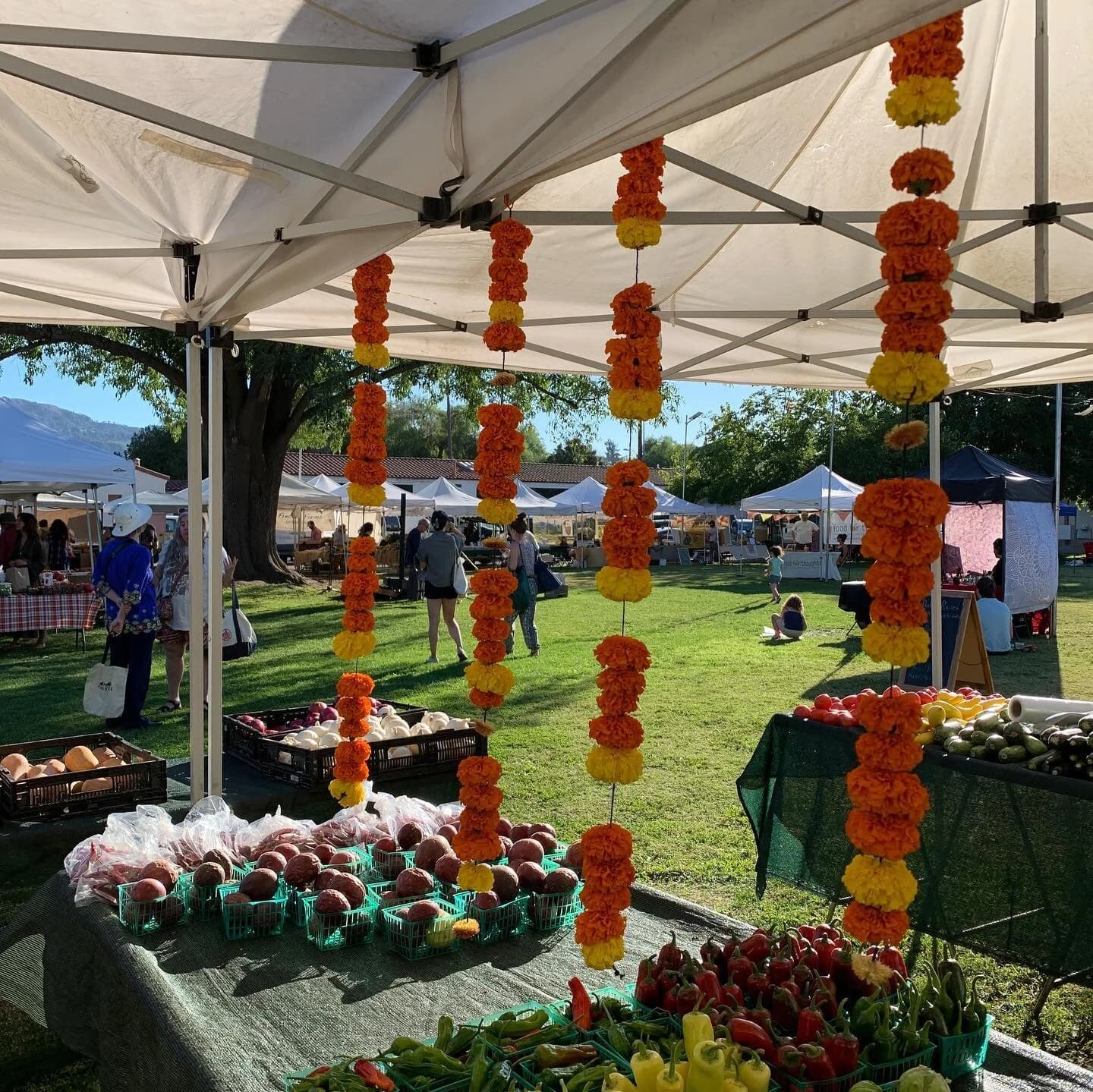 Ojai Community Farmers' Market photo 3