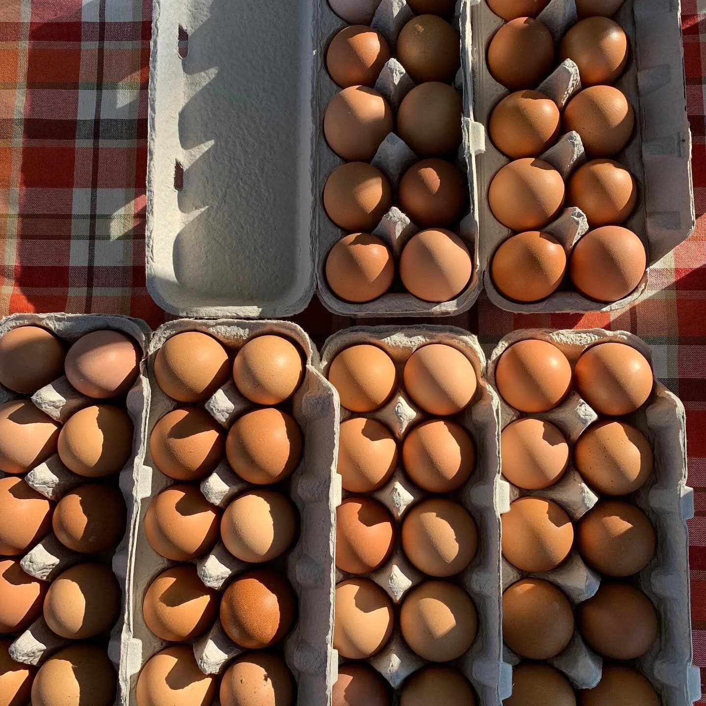 Ojai Community Farmers' Market photo 2
