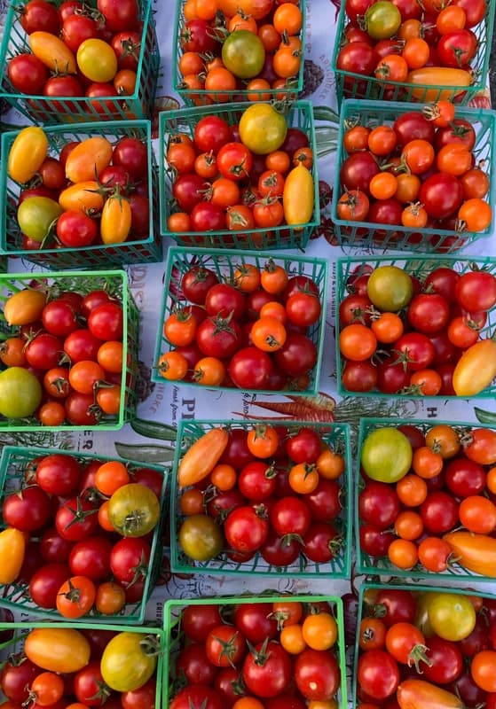 North Beach Farmers Market photo 5