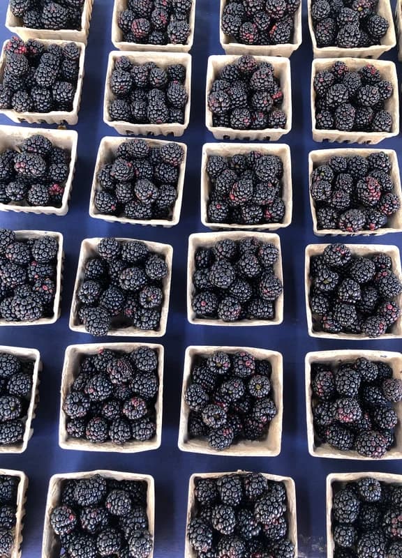 North Beach Farmers Market photo 4