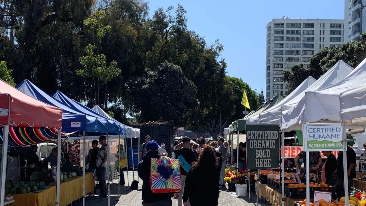Santa Monica Sunday Main Street Farmers Market photo 3
