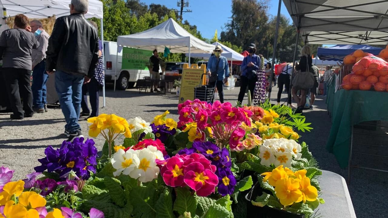 Santa Monica Sunday Main Street Farmers Market photo 5