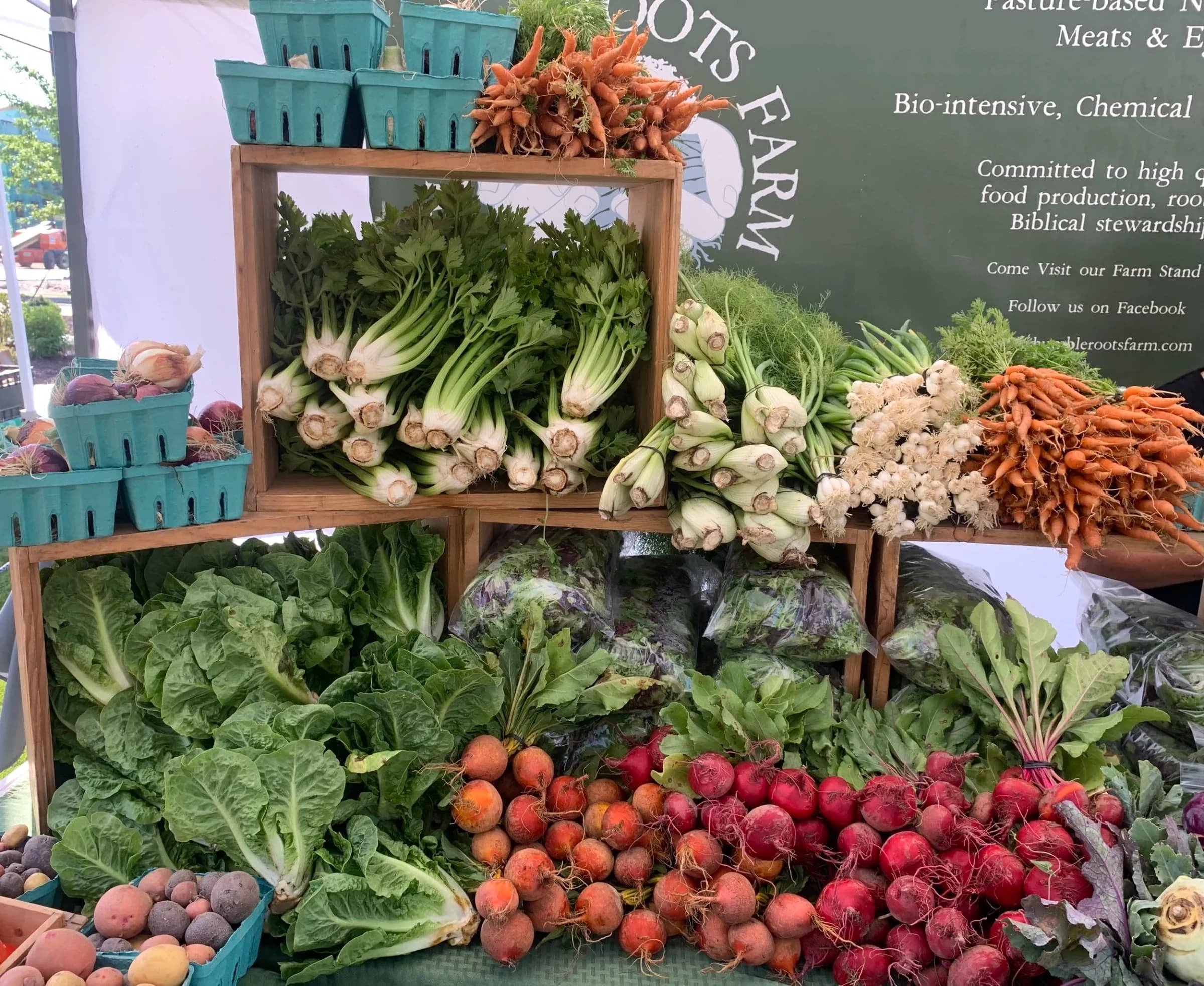 Wilmington Farmers Market at Tidal Creek photo 3
