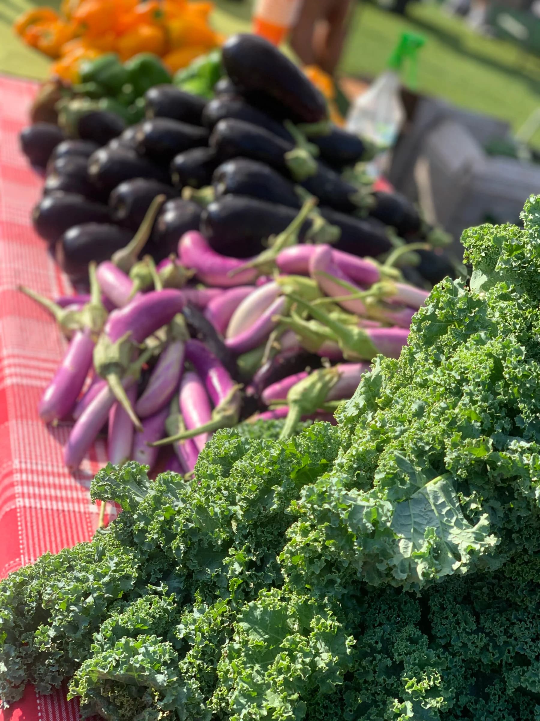 Wilmington Farmers Market at Tidal Creek photo 4