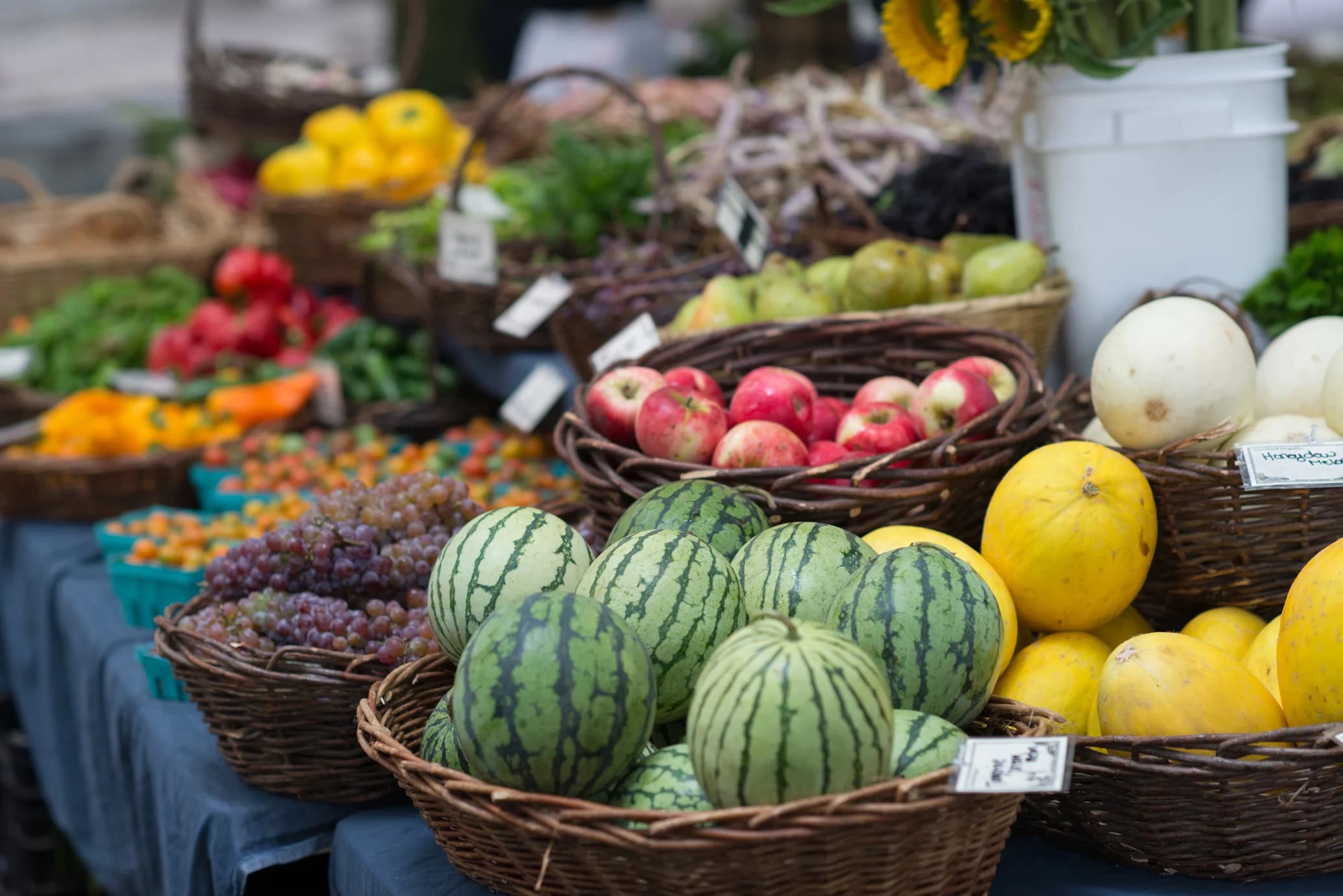 King Farmers Market photo 5