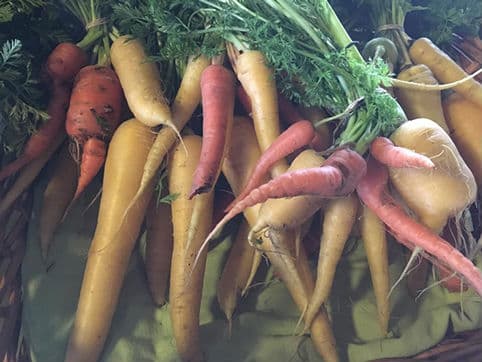 The Original Merced Certified Farmers' Market photo 4