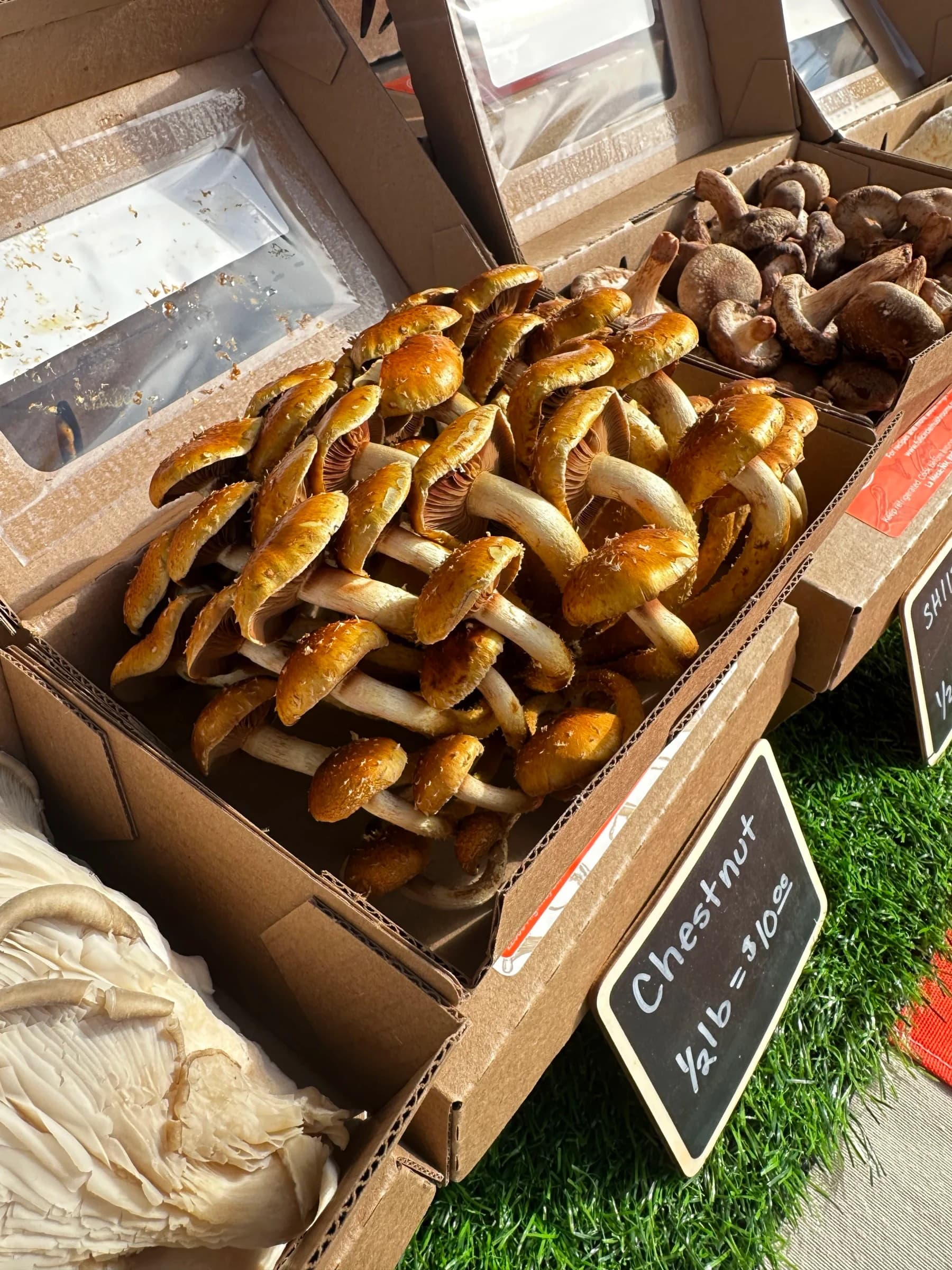 Downtown Growers' Market photo 3