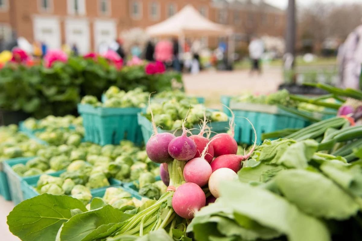 UMD Farmers Market photo 2