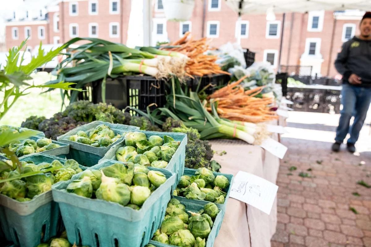 UMD Farmers Market photo 5