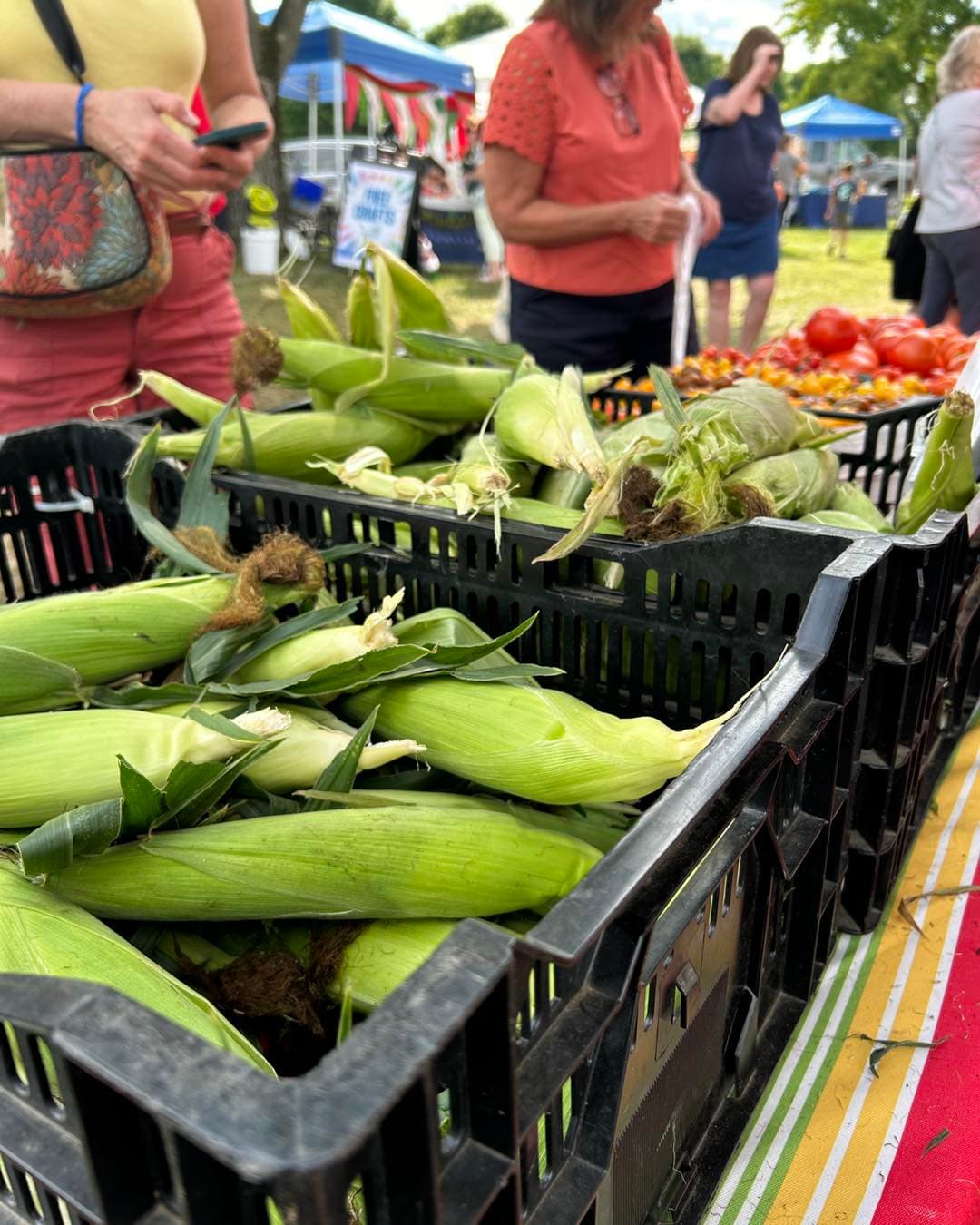 Robbinsville Farmers Market photo 3