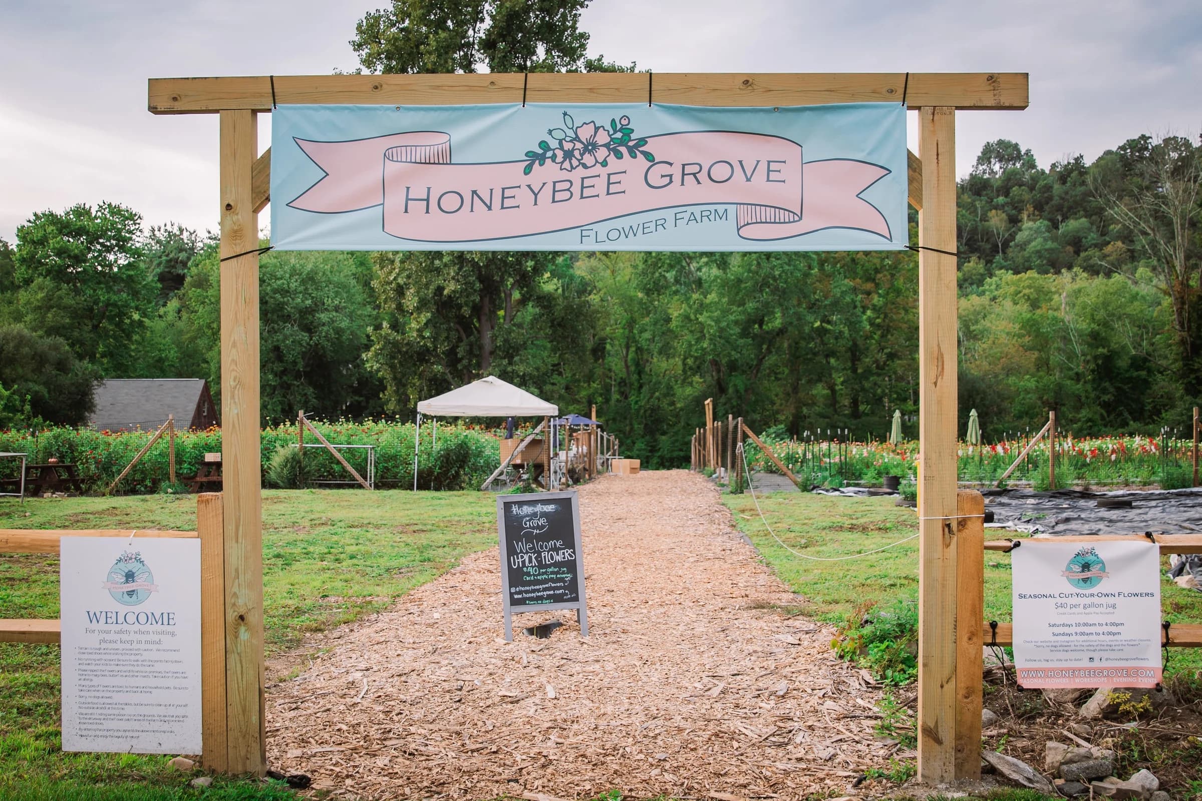 Farmer’s Market at Honeybee Grove photo 2