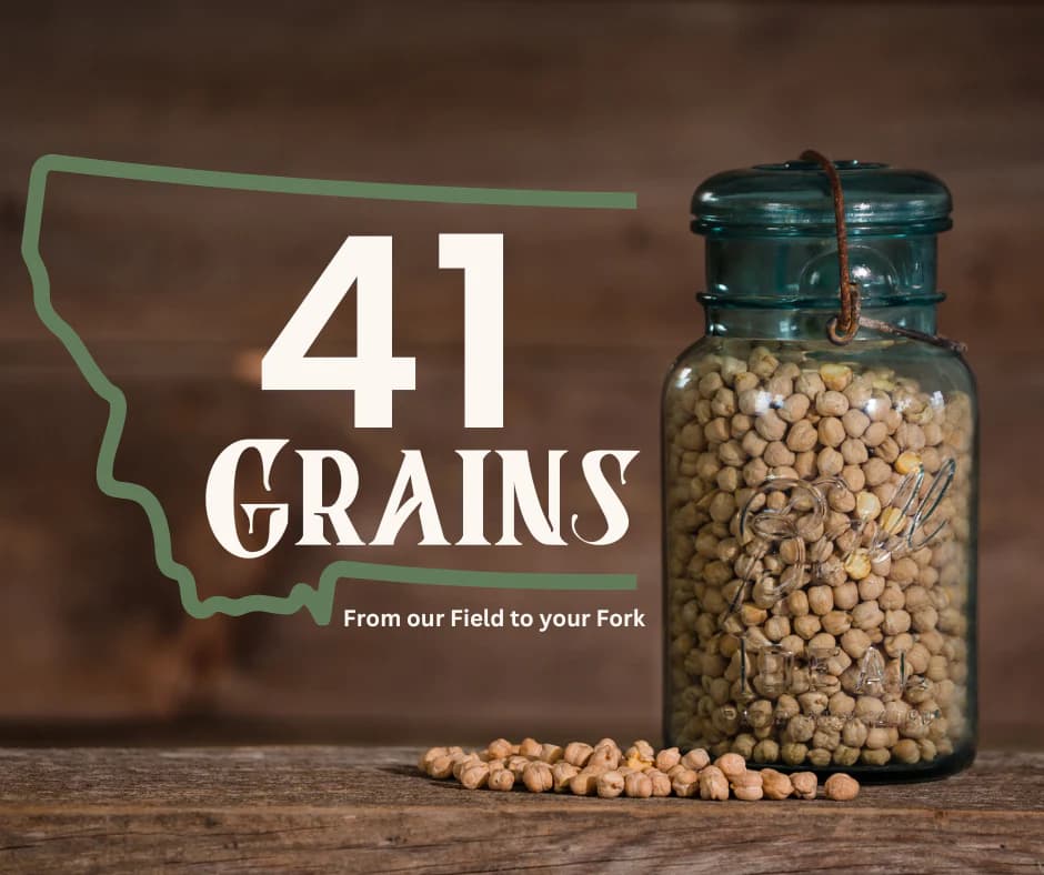 41 Grains