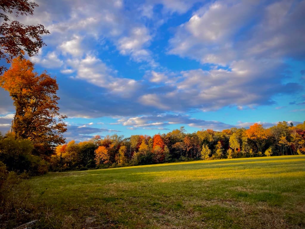 6 Acre Farm photo 2