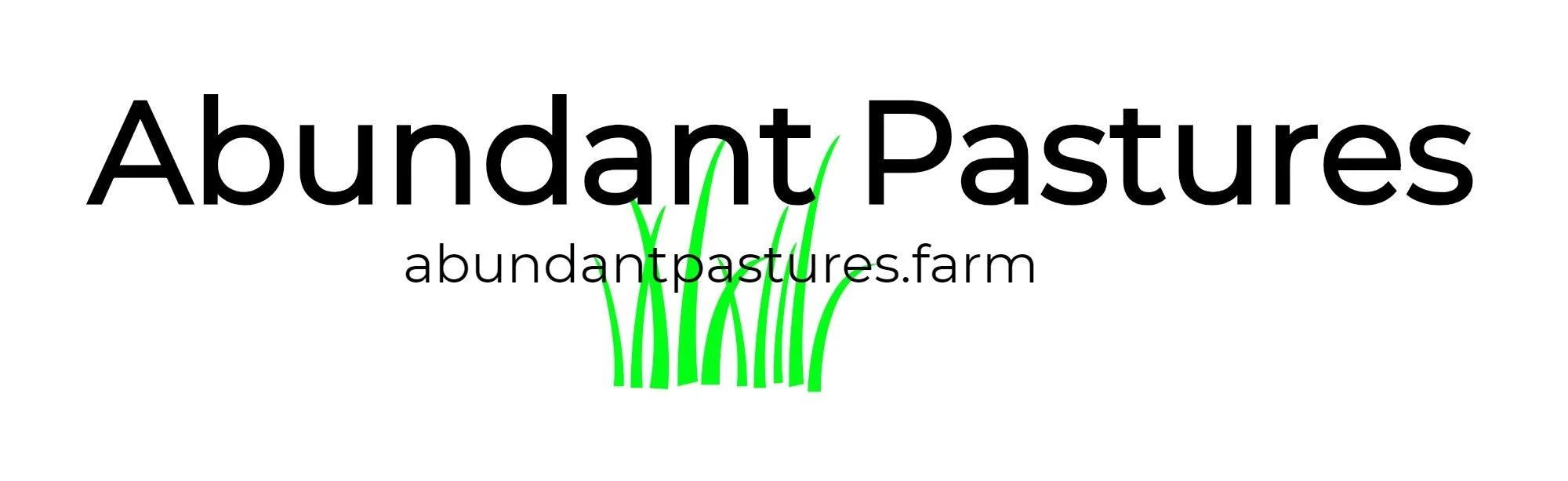 Abundant Pastures photo 2