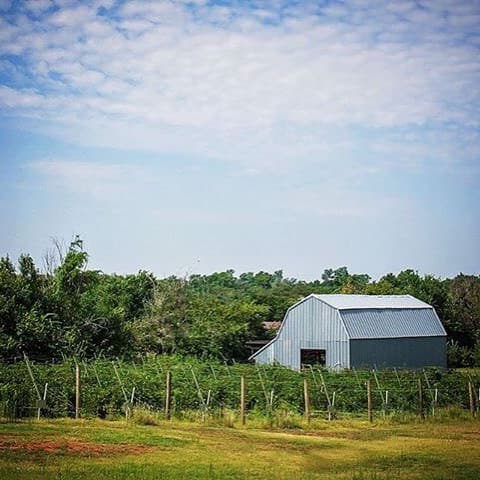 Agape House Berry Farm