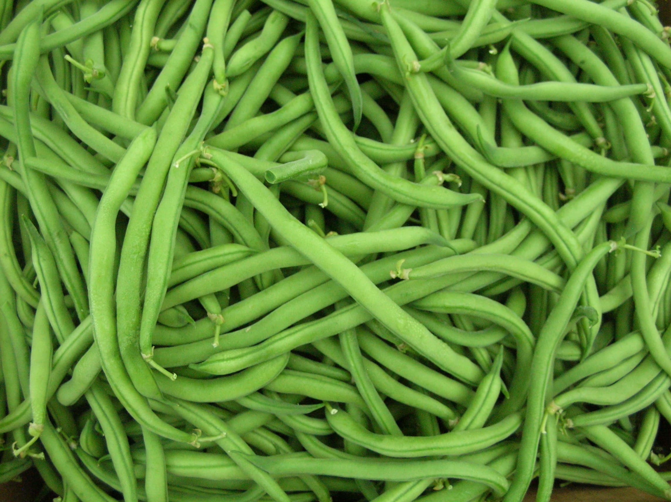 Agrarian Harvest photo 2